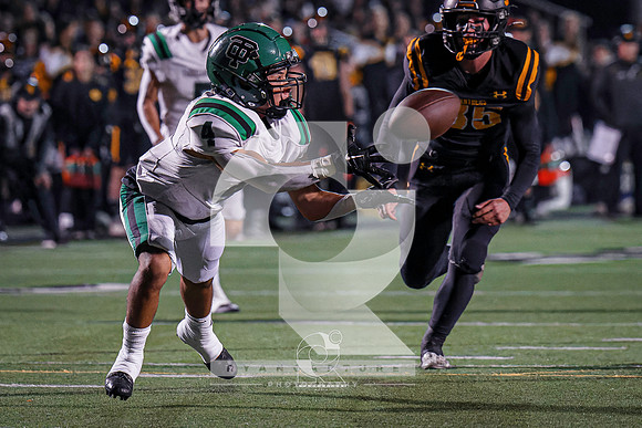 RJH04424-ARW_DxO_DeepPRIME-2