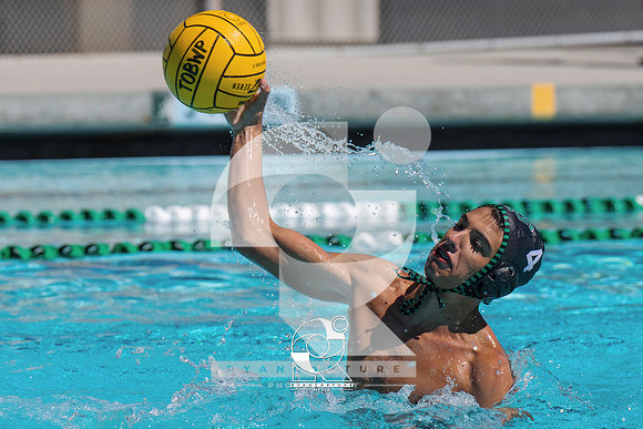 RJH01936