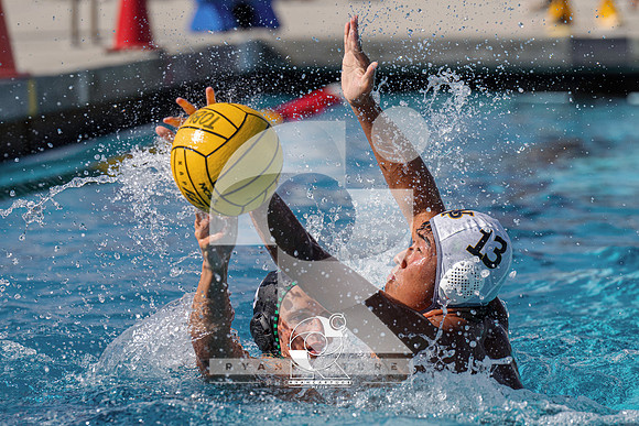 RJH03119