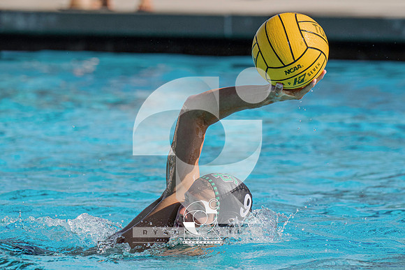 RJH03885