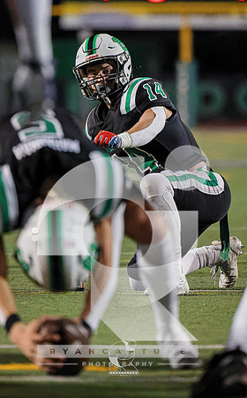 RJH00600-ARW_DxO_DeepPRIME-2