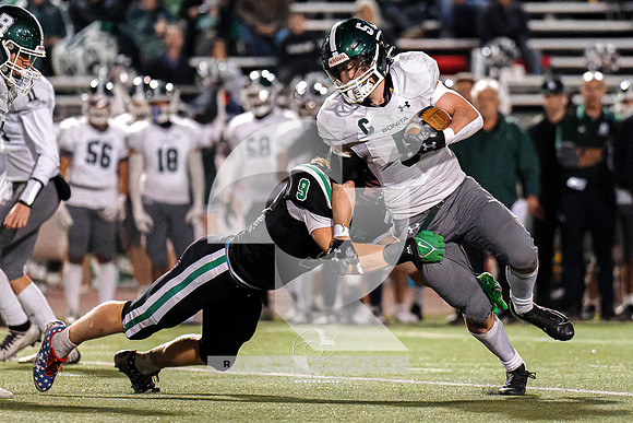 RJH00700-ARW_DxO_DeepPRIME