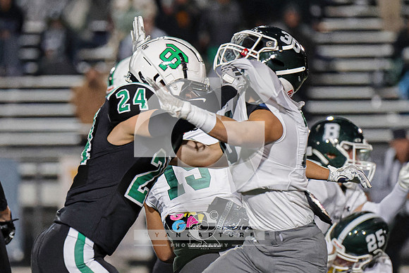 RJH01976-ARW_DxO_DeepPRIME-2