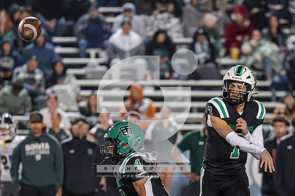 RJH02040-ARW_DxO_DeepPRIME-2
