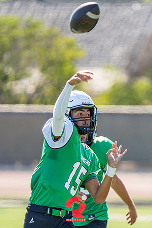 RJH09340