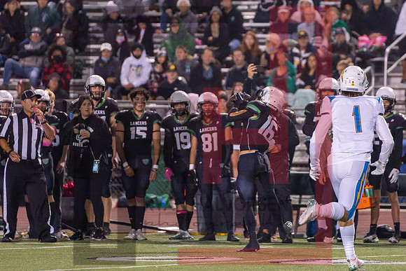 TOHS v Agoura--52