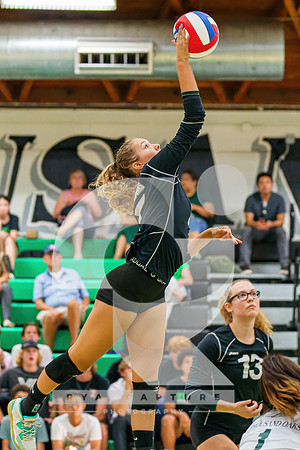 DSC05487-ARW_DxO_DeepPRIME
