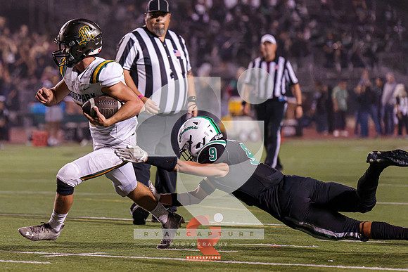 RJH00414-ARW_DxO_DeepPRIME