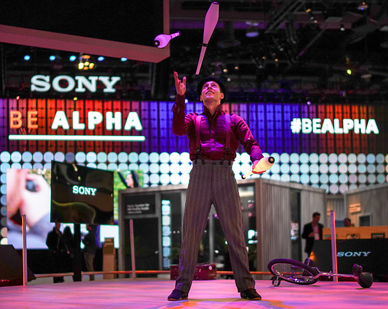 Sony Be Alpha Vegas-18