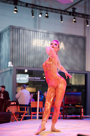 Sony Be Alpha Vegas-27