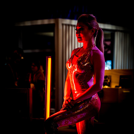 Sony Be Alpha Vegas-81