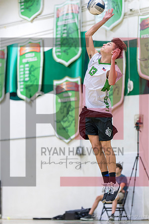 TOHS v Agoura VBall 6546