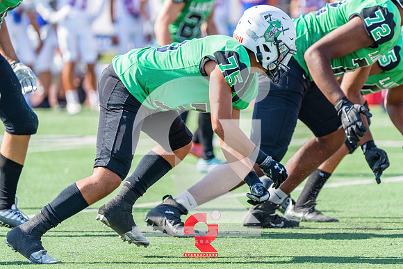 RJH01550