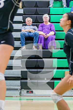 DSC06166-ARW_DxO_DeepPRIME