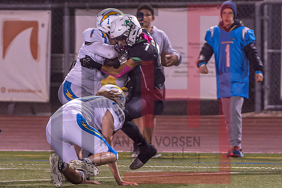 TOHS v Agoura--154