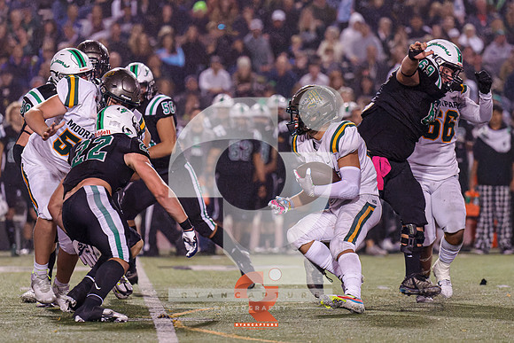 RJH00532-ARW_DxO_DeepPRIME