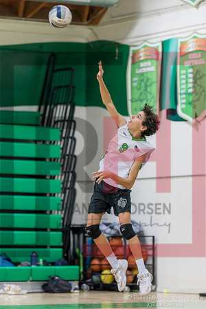 TOHS v Agoura VBall 6532