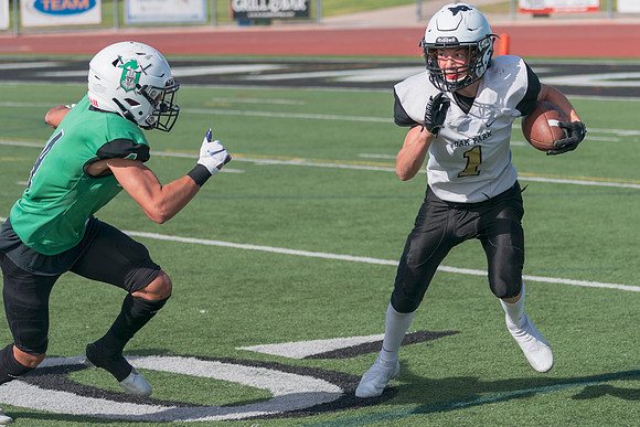 DSC01731