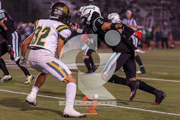RJH09978-ARW_DxO_DeepPRIME