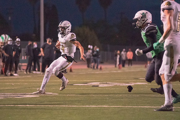 DSC03980