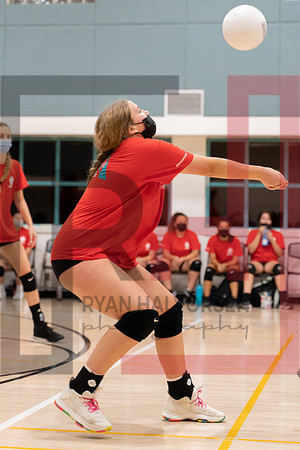Redwood MS VBall-113