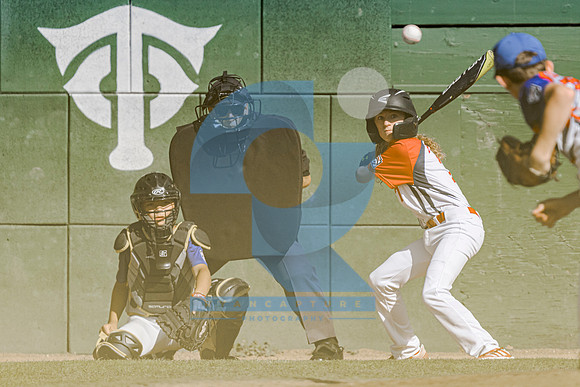 RyanCapture (107 of 517)