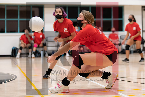 Redwood MS VBall-87