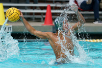 USAWP ODP 2020