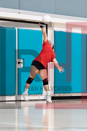 Redwood MS VBall-122