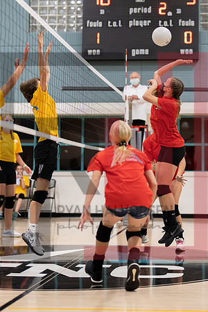 Redwood MS VBall-61