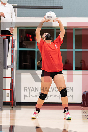 Redwood MS VBall-42