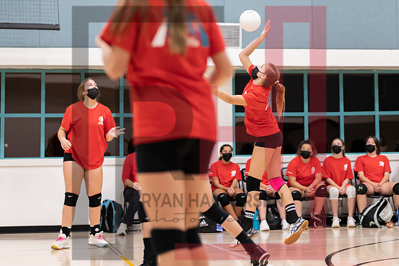 Redwood MS VBall-34