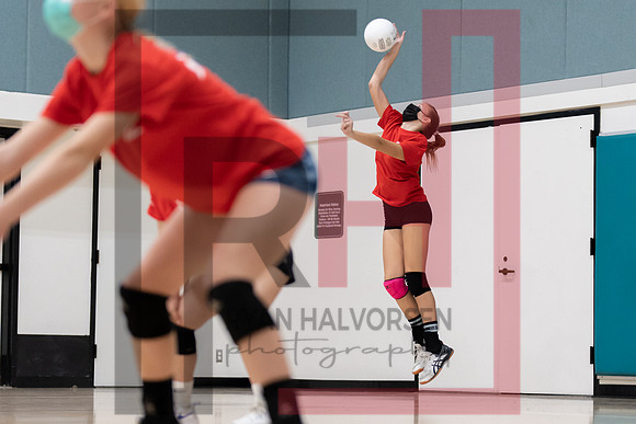 Redwood MS VBall-38