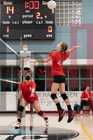 Redwood MS VBall-50