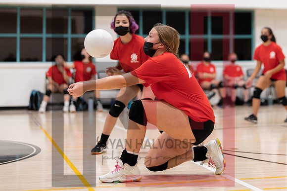 Redwood MS VBall-89