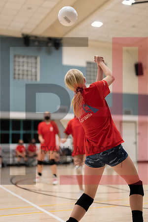 Redwood MS VBall-72
