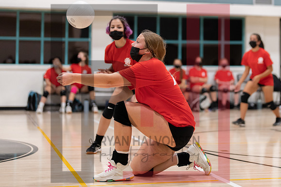 Redwood MS VBall-90