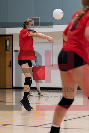 Redwood MS VBall-166