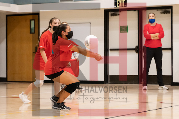 Redwood MS VBall-97