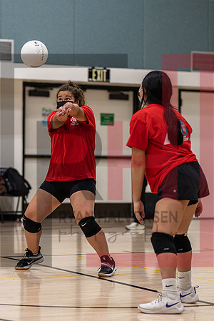Redwood MS VBall-60