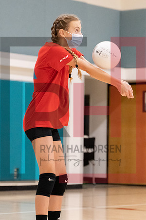 Redwood MS VBall-103