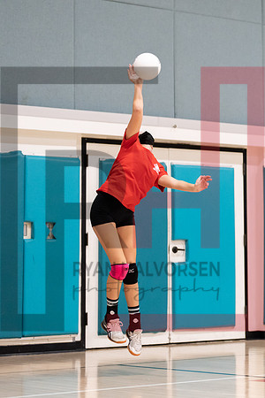 Redwood MS VBall-161