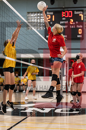 Redwood MS VBall-79