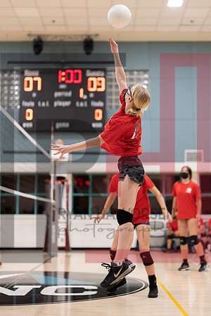 Redwood MS VBall-17