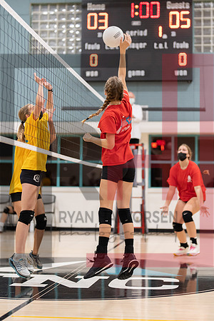Redwood MS VBall-13