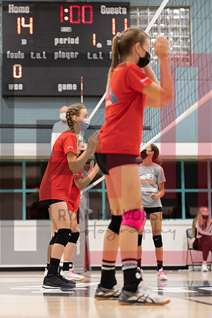 Redwood MS VBall-125