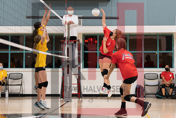 Redwood MS VBall-10