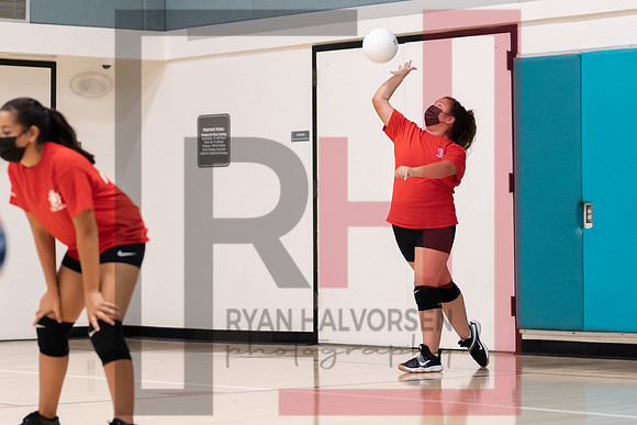 Redwood MS VBall-91
