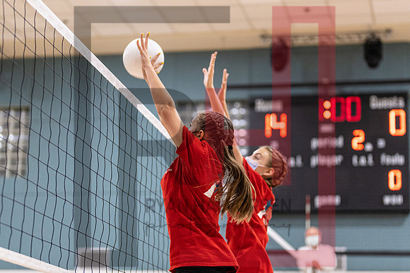 Redwood MS VBall-47