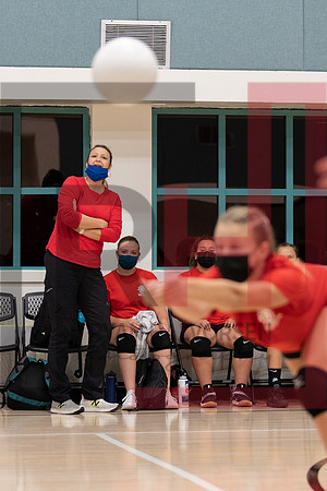 Redwood MS VBall-1